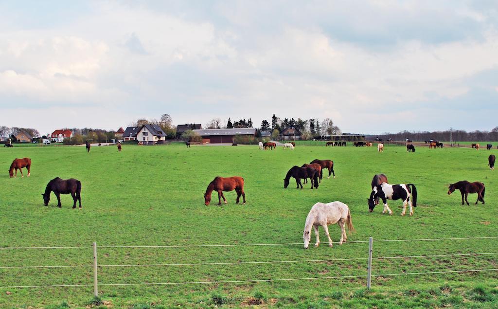 Ferienwohnung Bergblick Xanten Luaran gambar